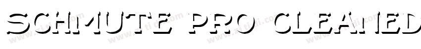 schmute pro cleaned字体转换
